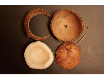Как сделать эко тарелку из кокосовой скорлупы своими руками