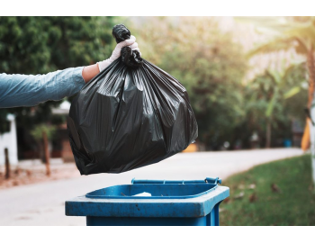 Чем заменить полиэтиленовые мусорные пакеты?